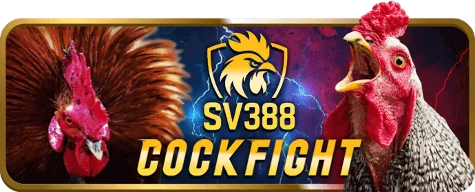 Tầm Nhìn HL88 WIN
