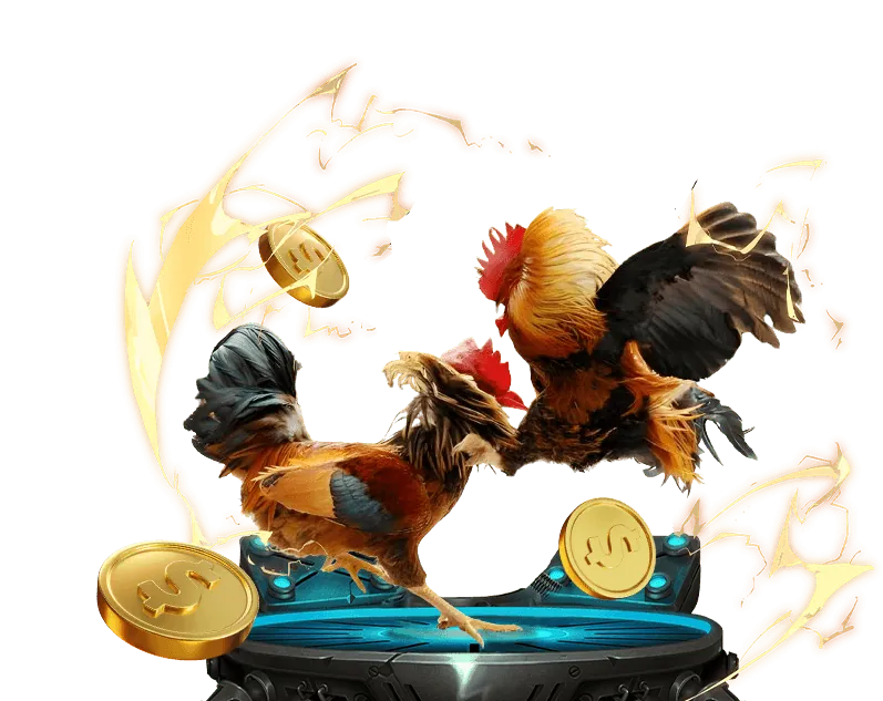 Cá cược Thể Thao hl88 win